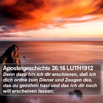Apostelgeschichte 26:16 LUTH1912 Bible Verse Image