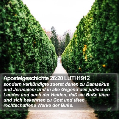 Apostelgeschichte 26:20 LUTH1912 Bible Verse Image