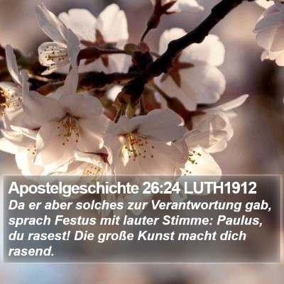 Apostelgeschichte 26:24 LUTH1912 Bible Verse Image