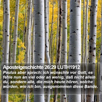 Apostelgeschichte 26:29 LUTH1912 Bible Verse Image