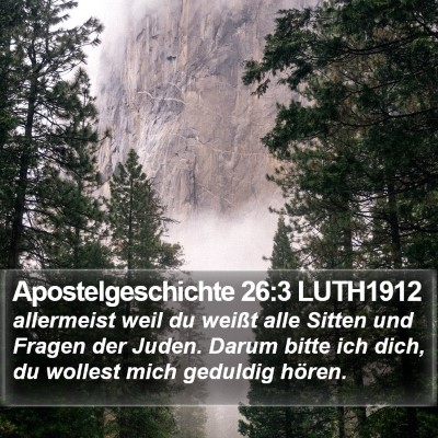 Apostelgeschichte 26:3 LUTH1912 Bible Verse Image