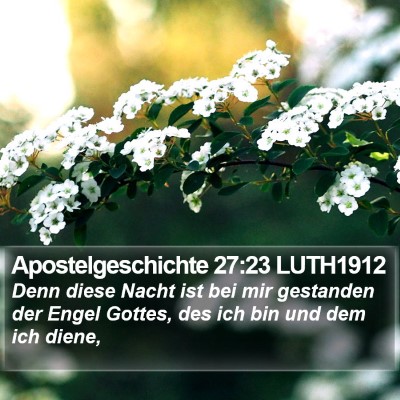 Apostelgeschichte 27:23 LUTH1912 Bible Verse Image