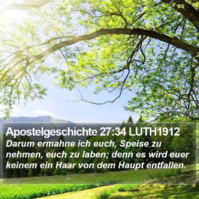 Apostelgeschichte 27:34 LUTH1912 Bible Verse Image
