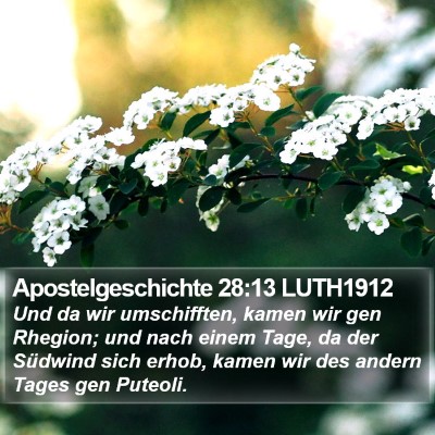 Apostelgeschichte 28:13 LUTH1912 Bible Verse Image