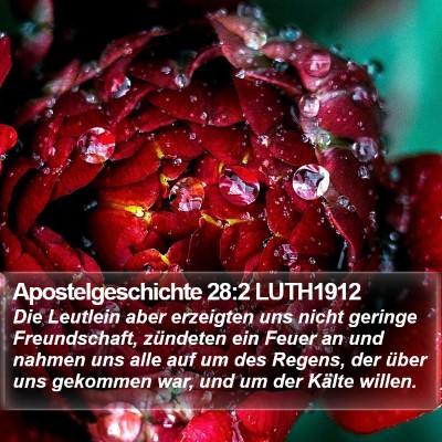 Apostelgeschichte 28:2 LUTH1912 Bible Verse Image