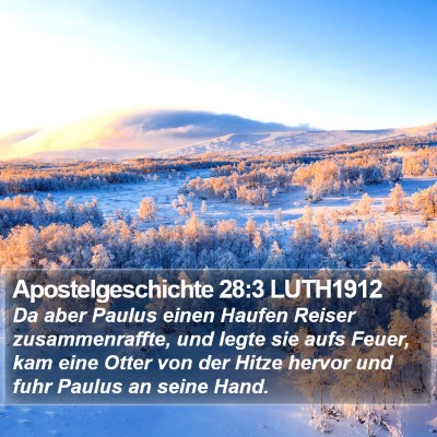 Apostelgeschichte 28:3 LUTH1912 Bible Verse Image