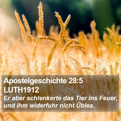 Apostelgeschichte 28:5 LUTH1912 Bible Verse Image
