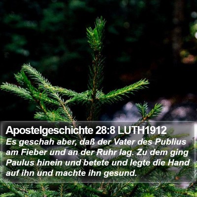 Apostelgeschichte 28:8 LUTH1912 Bible Verse Image