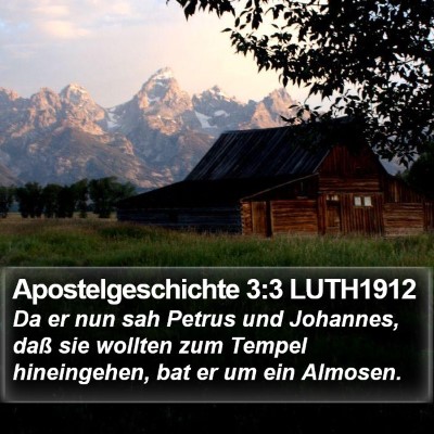 Apostelgeschichte 3:3 LUTH1912 Bible Verse Image