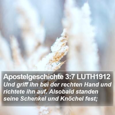 Apostelgeschichte 3:7 LUTH1912 Bible Verse Image