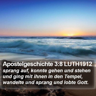 Apostelgeschichte 3:8 LUTH1912 Bible Verse Image