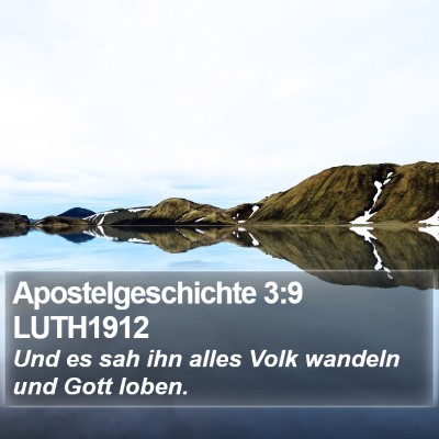 Apostelgeschichte 3:9 LUTH1912 Bible Verse Image