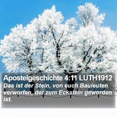 Apostelgeschichte 4:11 LUTH1912 Bible Verse Image