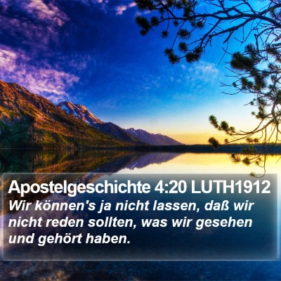 Apostelgeschichte 4:20 LUTH1912 Bible Verse Image