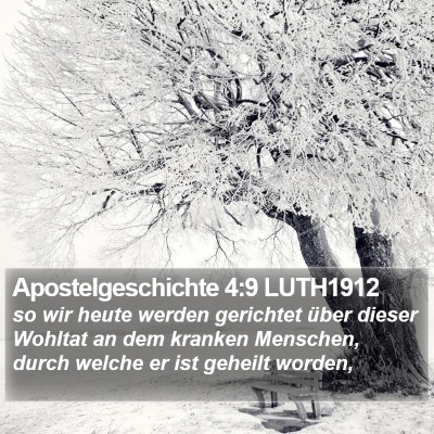 Apostelgeschichte 4:9 LUTH1912 Bible Verse Image