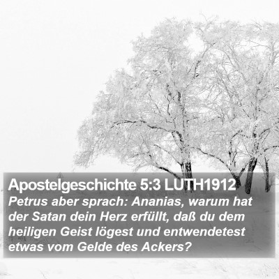 Apostelgeschichte 5:3 LUTH1912 Bible Verse Image