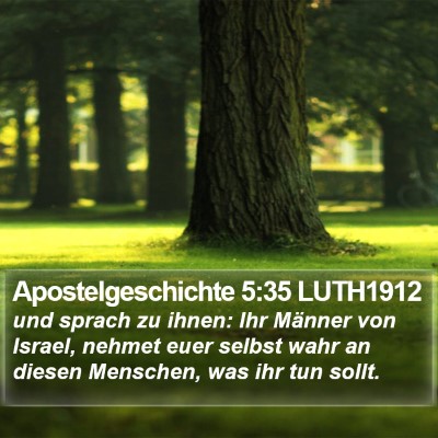 Apostelgeschichte 5:35 LUTH1912 Bible Verse Image