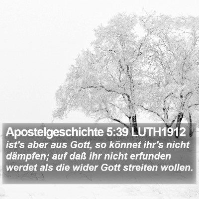 Apostelgeschichte 5:39 LUTH1912 Bible Verse Image