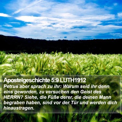 Apostelgeschichte 5:9 LUTH1912 Bible Verse Image