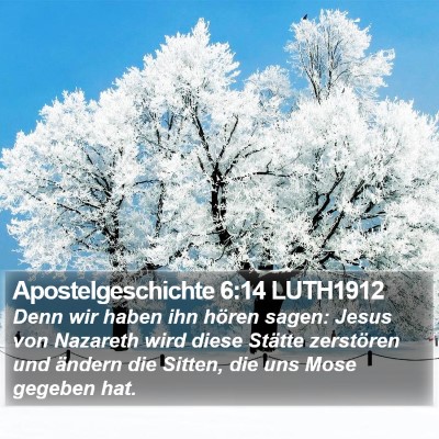 Apostelgeschichte 6:14 LUTH1912 Bible Verse Image