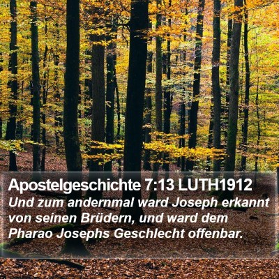 Apostelgeschichte 7:13 LUTH1912 Bible Verse Image