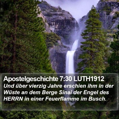 Apostelgeschichte 7:30 LUTH1912 Bible Verse Image