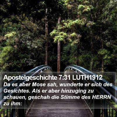 Apostelgeschichte 7:31 LUTH1912 Bible Verse Image