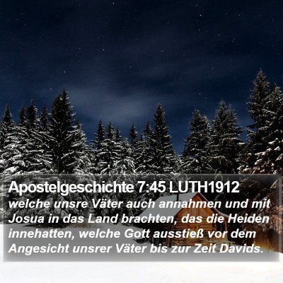 Apostelgeschichte 7:45 LUTH1912 Bible Verse Image