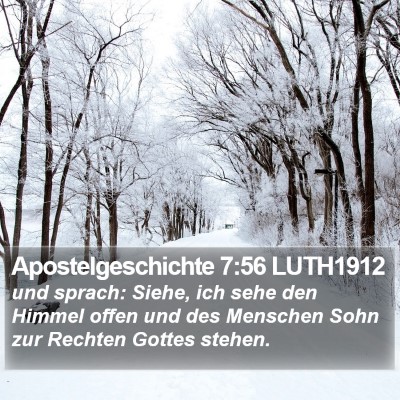Apostelgeschichte 7:56 LUTH1912 Bible Verse Image