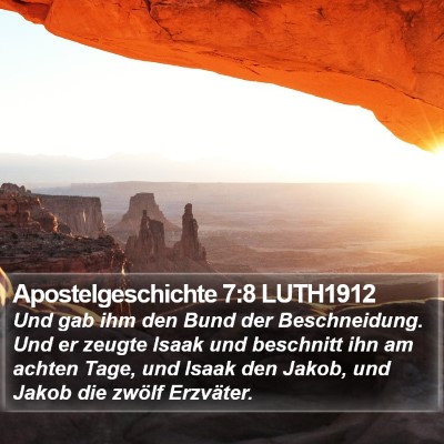 Apostelgeschichte 7:8 LUTH1912 Bible Verse Image