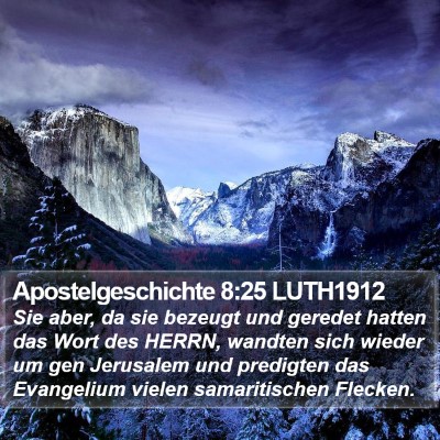 Apostelgeschichte 8:25 LUTH1912 Bible Verse Image