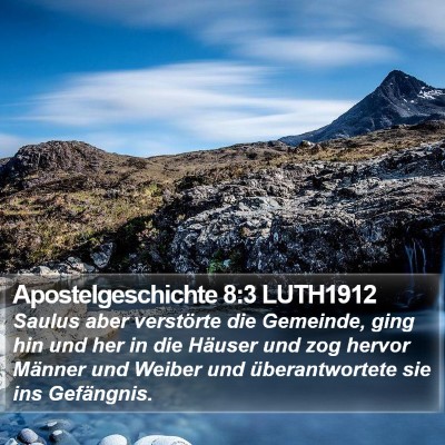 Apostelgeschichte 8:3 LUTH1912 Bible Verse Image