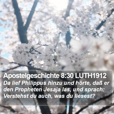 Apostelgeschichte 8:30 LUTH1912 Bible Verse Image