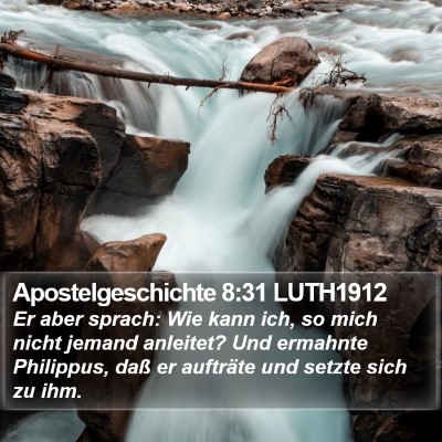 Apostelgeschichte 8:31 LUTH1912 Bible Verse Image