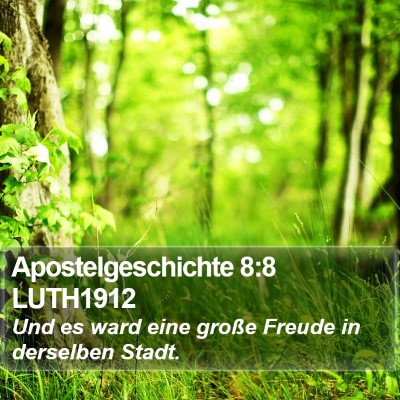 Apostelgeschichte 8:8 LUTH1912 Bible Verse Image