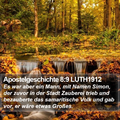 Apostelgeschichte 8:9 LUTH1912 Bible Verse Image