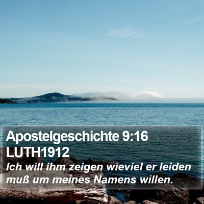 Apostelgeschichte 9:16 LUTH1912 Bible Verse Image