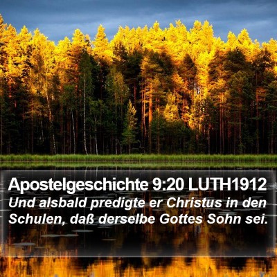 Apostelgeschichte 9:20 LUTH1912 Bible Verse Image