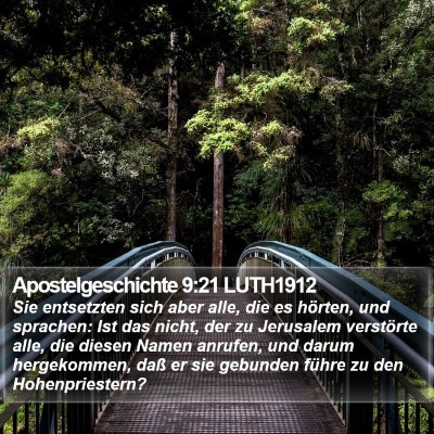 Apostelgeschichte 9:21 LUTH1912 Bible Verse Image