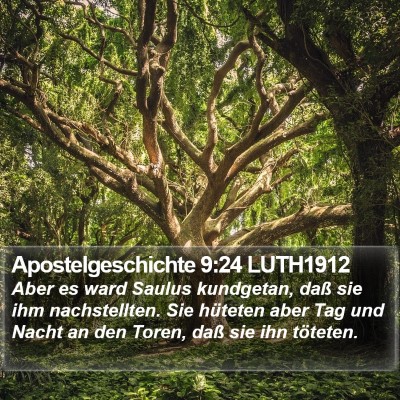Apostelgeschichte 9:24 LUTH1912 Bible Verse Image