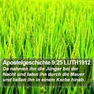 Apostelgeschichte 9:25 LUTH1912 Bible Verse Image