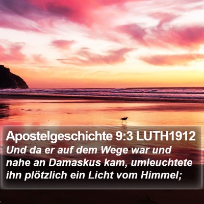 Apostelgeschichte 9:3 LUTH1912 Bible Verse Image