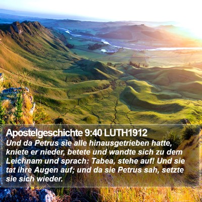 Apostelgeschichte 9:40 LUTH1912 Bible Verse Image
