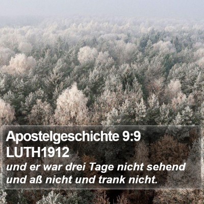 Apostelgeschichte 9:9 LUTH1912 Bible Verse Image
