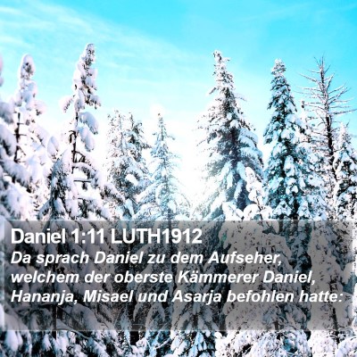 Daniel 1:11 LUTH1912 Bible Verse Image