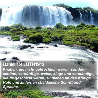 Daniel 1:4 LUTH1912 Bible Verse Image