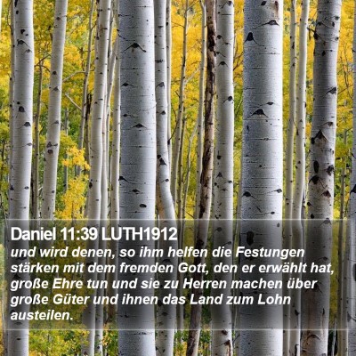 Daniel 11:39 LUTH1912 Bible Verse Image