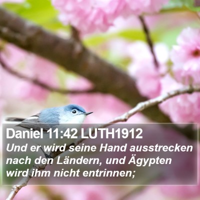 Daniel 11:42 LUTH1912 Bible Verse Image