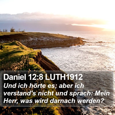 Daniel 12:8 LUTH1912 Bible Verse Image