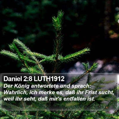 Daniel 2:8 LUTH1912 Bible Verse Image